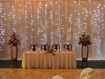 Twinkle Starlight Wedding backdrops are fantastic way to add some sparkle 