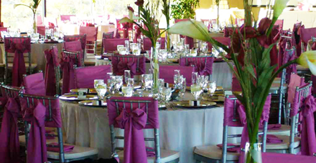 Chair Covers Nz