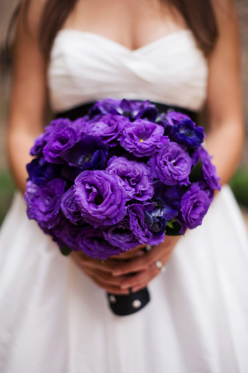 Purple Flowers Beautiful bold flowers
