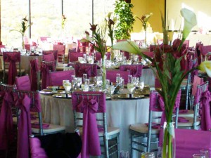Wedding chair covers kent Wedding chair covers kent