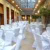 designer chair covers to go